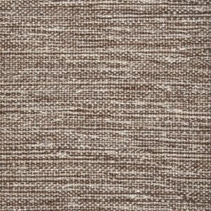 Simplicity-Birch Carpet 