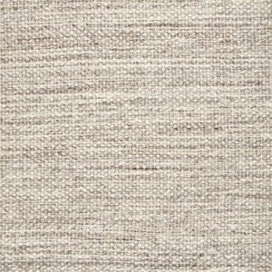 Simplicity-Putty Carpet 
