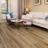 Simplistic-Natural Luxury Vinyl, stantoncarpet 