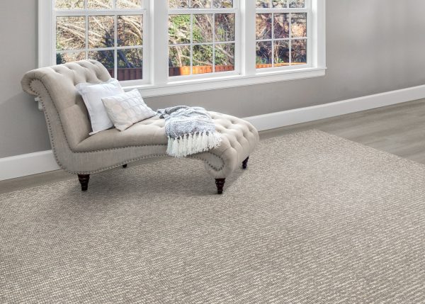 Sonata Rug-Platinum stantoncarpet, Stocked Area Rug 