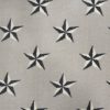 Starstruck-Ecru Commercial Carpet, stantoncarpet 