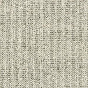 Stoney Point-Comfort White Carpet 