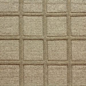 Synergy-Rich Fawn Carpet 