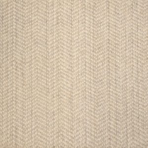 Taj-Greige Carpet 