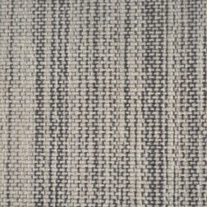Tempe-Coyote Carpet 