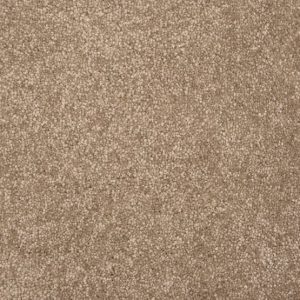 Throne-Khaki Carpet 