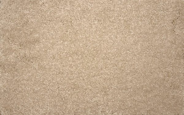 Throne-Sand Dollar Carpet 