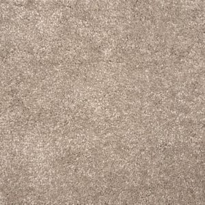 Throne-Silvermine Carpet 