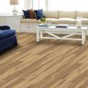 Versa Edge St Strnos-Timber Land Driftwoo Luxury Vinyl, stantoncarpet 