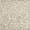 Trailblazer-Carbon Carpet 
