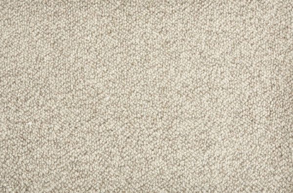 Trailblazer-Carbon Carpet 