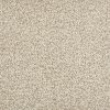 Trailblazer-Earl Grey Carpet 