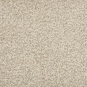 Trailblazer-Earl Grey Carpet 