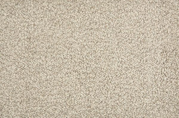 Trailblazer-Earl Grey Carpet 