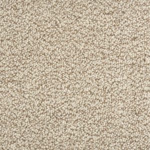 Trailblazer-Fossil Carpet 