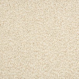 Trailblazer-Oats Carpet 