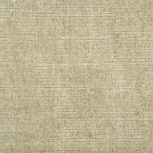 Trento-Pearl Carpet 