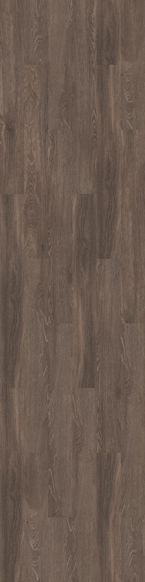 Lakeshore Drive Lakeshore Drive