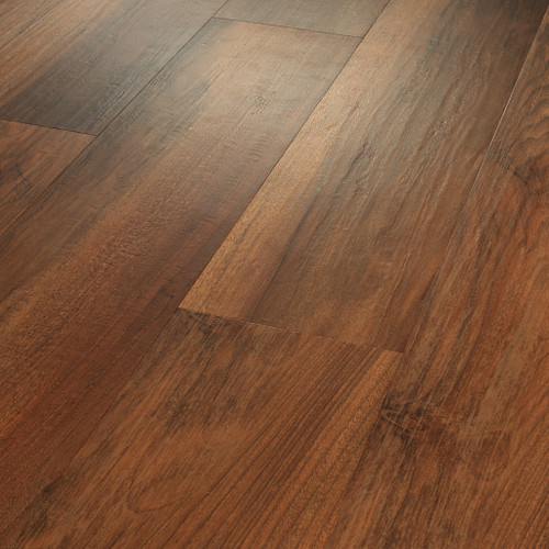 Amber Oak Amber Oak