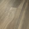 Chestnut Oak  