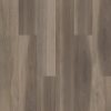 Chestnut Oak  