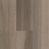 Chestnut Oak  