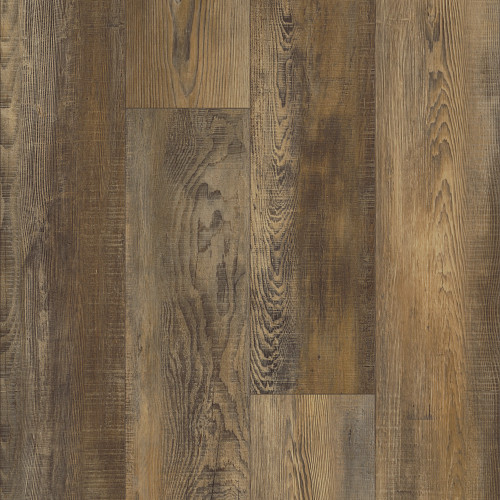 Saggio Saggio