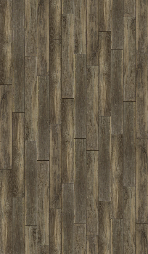 Ardesia Ardesia