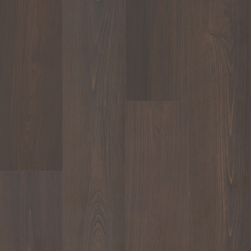Umber Umber