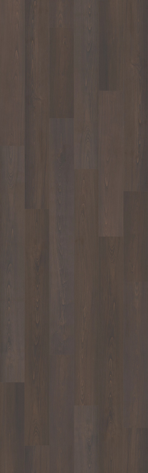 Umber Umber