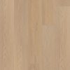 Timeless Oak  