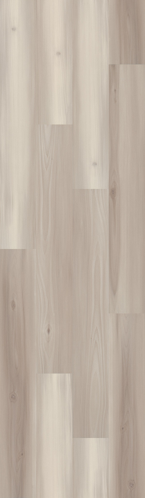Dutch Oak Dutch Oak