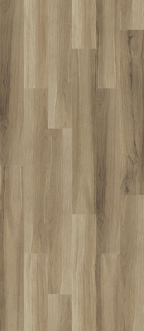 Almond Oak Almond Oak
