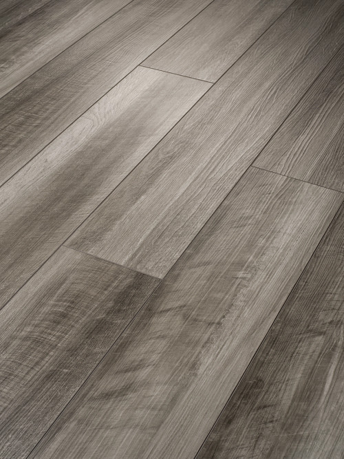 Oyster Oak Oyster Oak