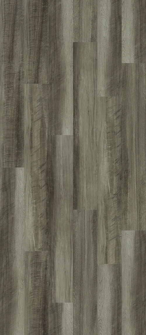 Oyster Oak Oyster Oak