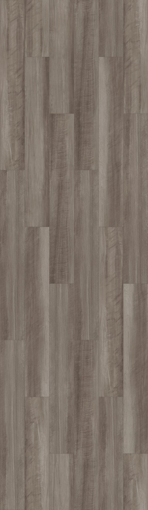 Oyster Oak Oyster Oak
