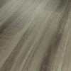 Oyster Oak Oyster Oak