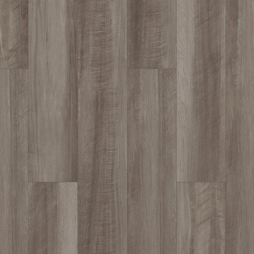 Oyster Oak Oyster Oak