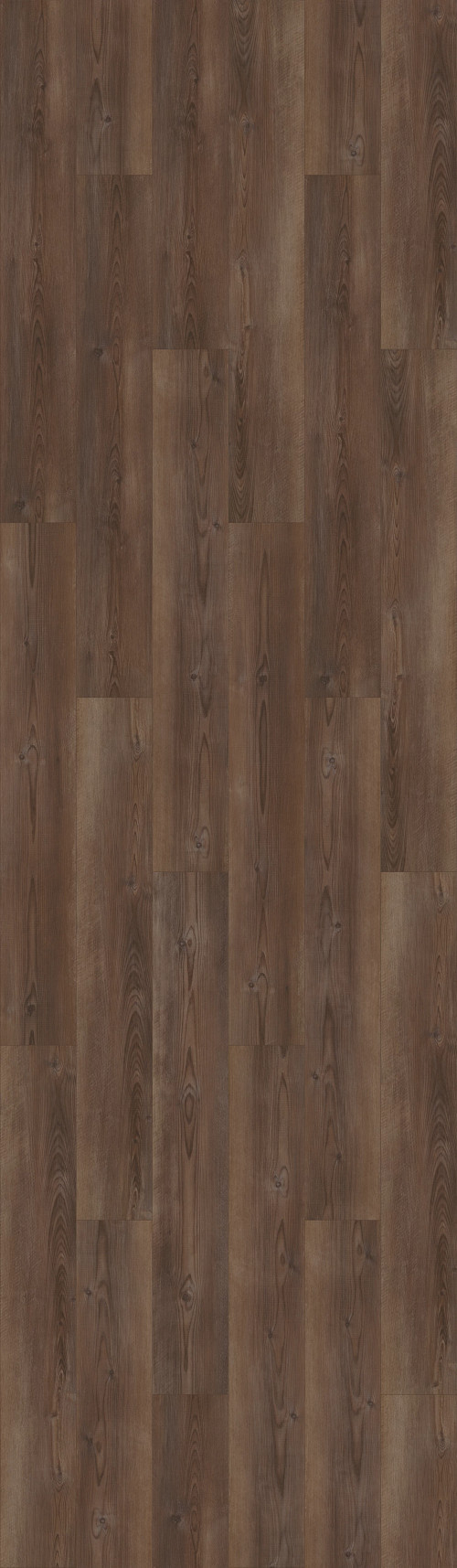 Ripped Pine Ripped Pine