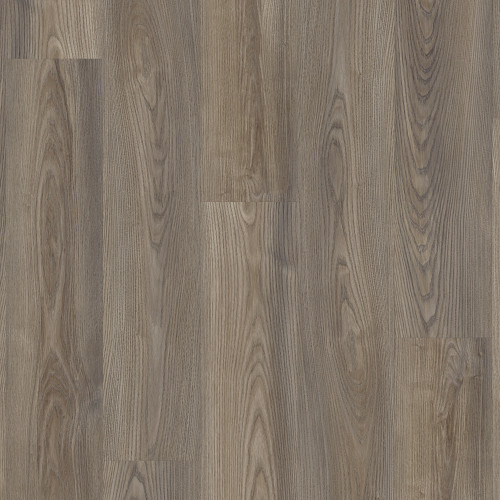 Grey Chestnut Grey Chestnut