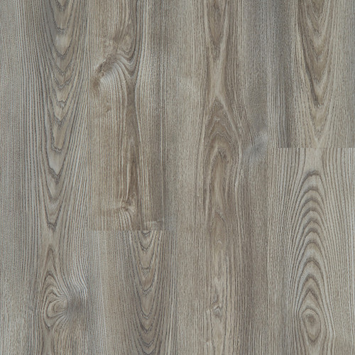Grey Chestnut Grey Chestnut