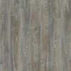 Grey Chestnut Grey Chestnut