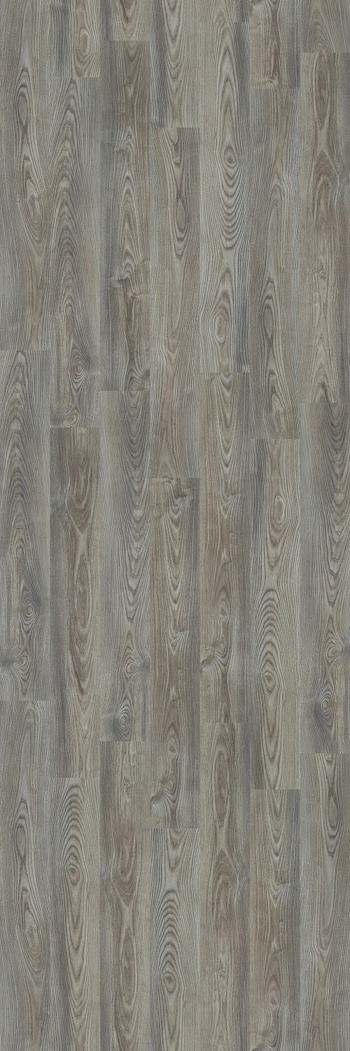 Grey Chestnut Grey Chestnut