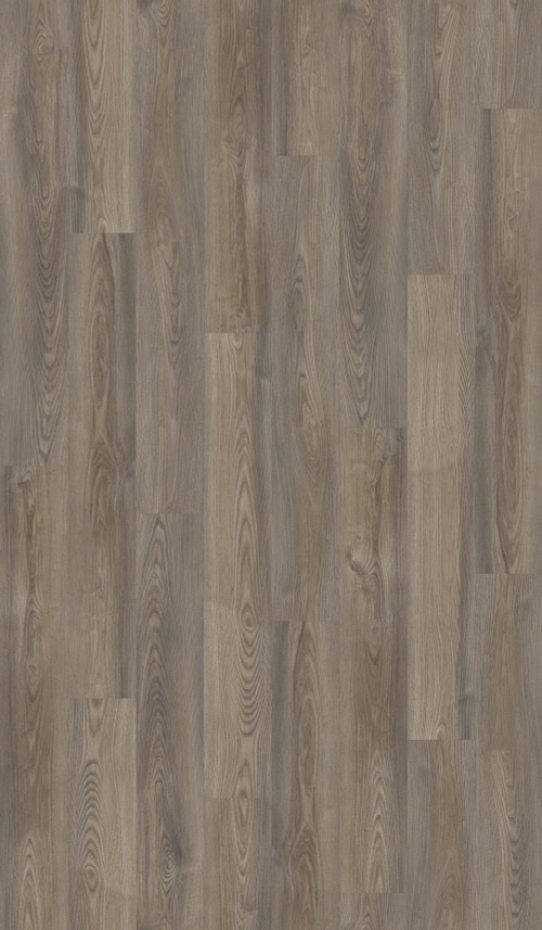 Grey Chestnut Grey Chestnut