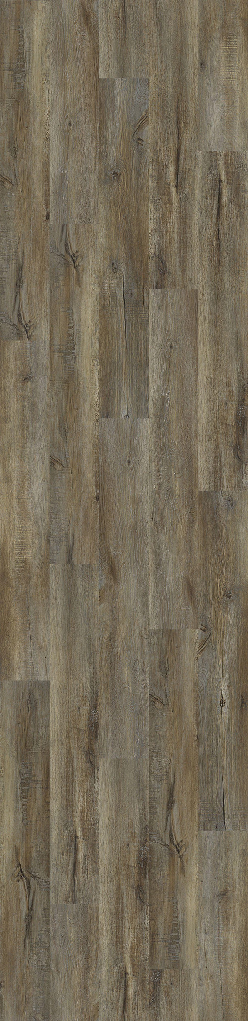 Modeled Oak Modeled Oak