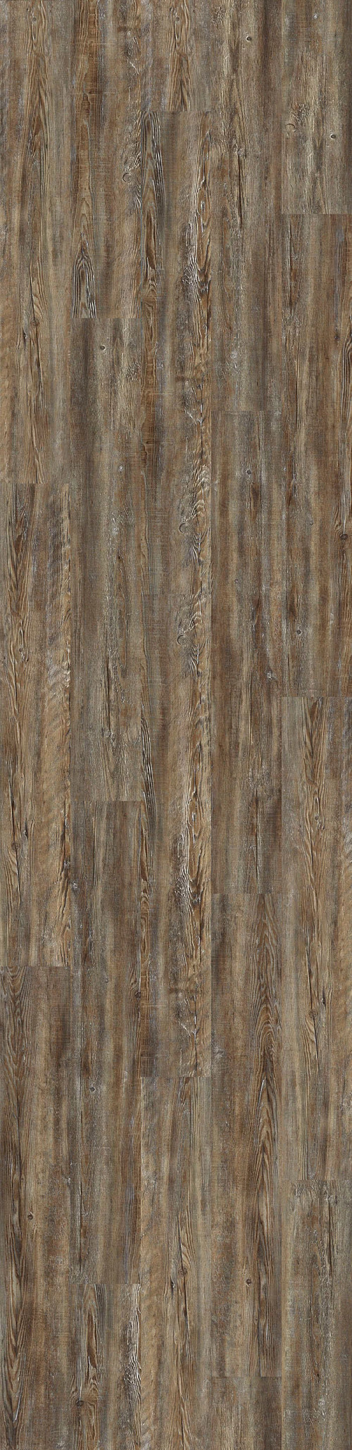 Tattered Barnbo Tattered Barnbo