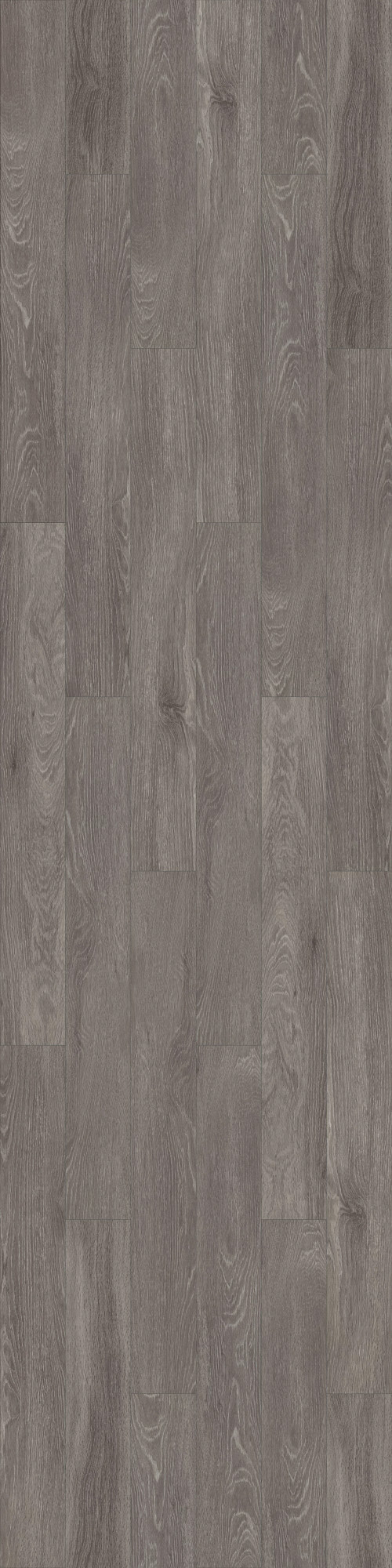 Pola Pola