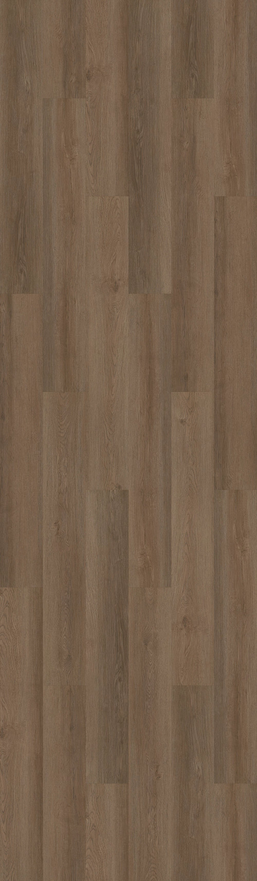 Raw Sienna Raw Sienna