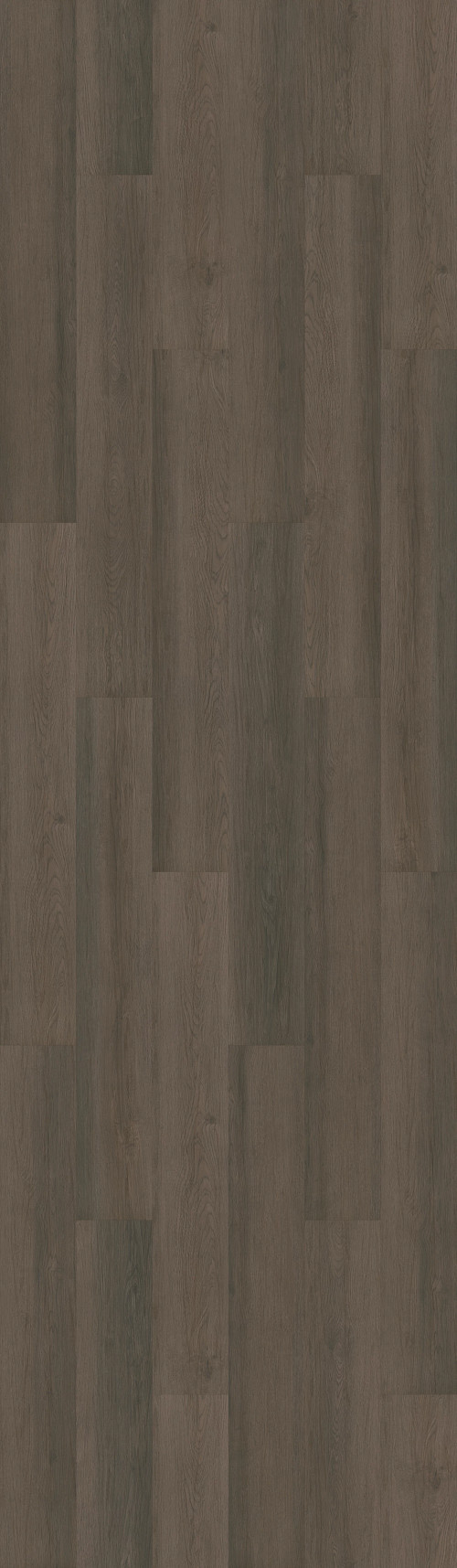 Boheme Brown Boheme Brown