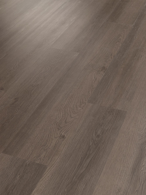 Boheme Brown Boheme Brown